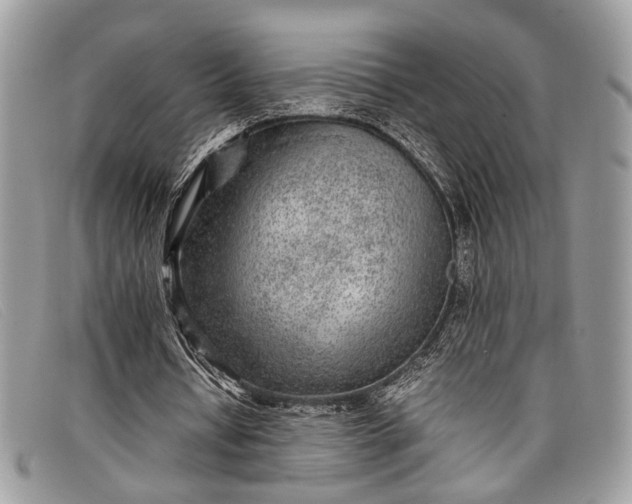 X0000098020434200804111302