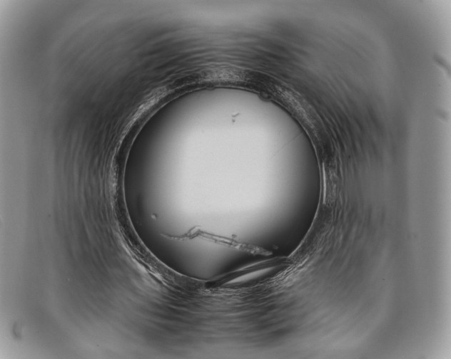 X0000098020435200804111302