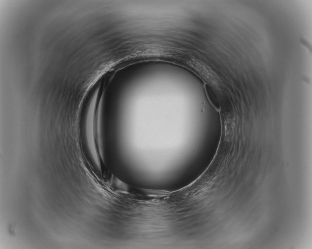 X0000098020436200804111302