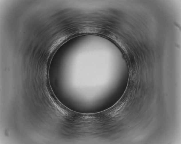 X0000098020437200804111302