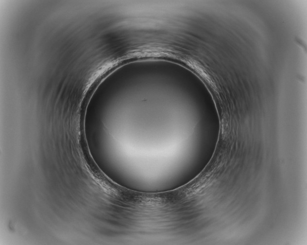 X0000098020438200804111302