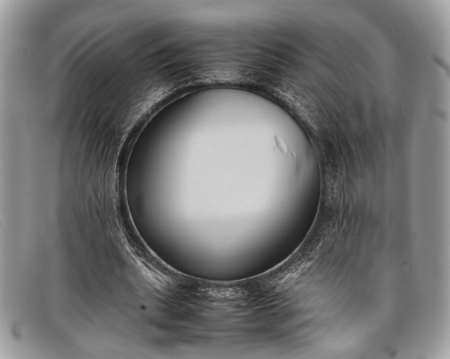 X0000098020439200804111302