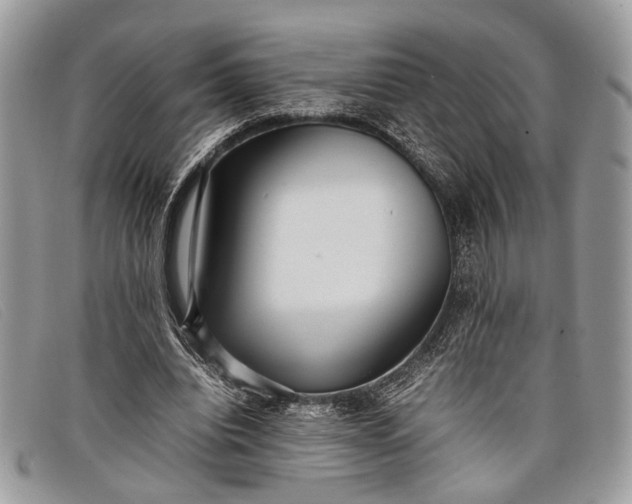 X0000098020440200804111302