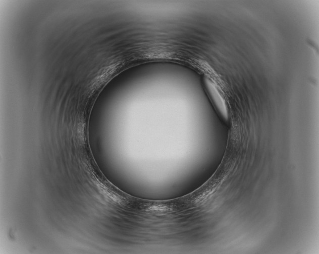 X0000098020441200804111302