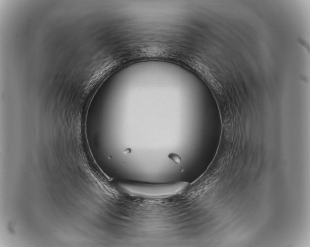 X0000098020442200804111302