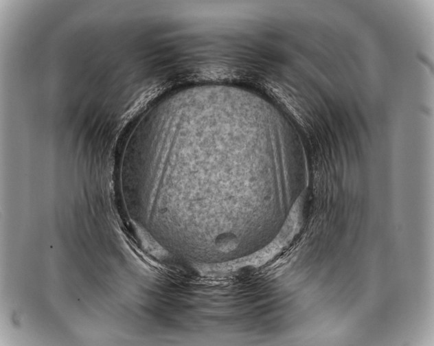 X0000098020443200804111302