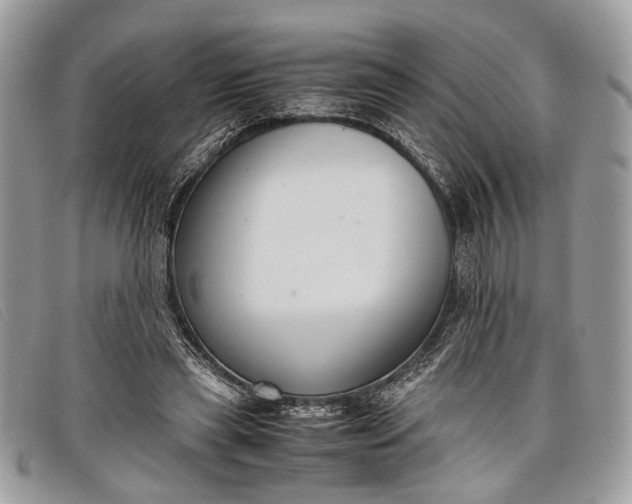 X0000098020445200804111302