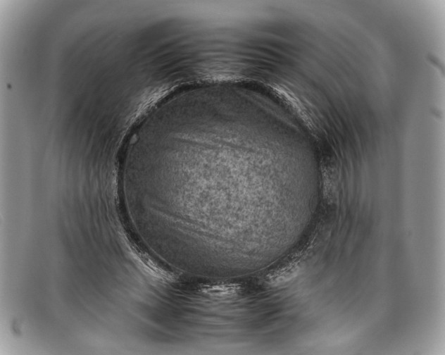 X0000098020447200804111302