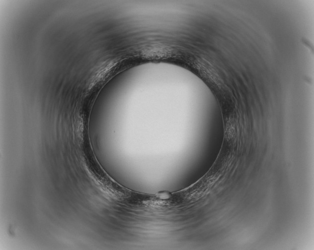 X0000098020448200804111302