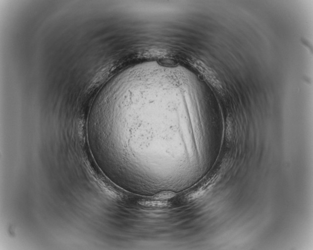 X0000098020449200804111302