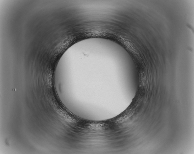 X0000098020450200804111302