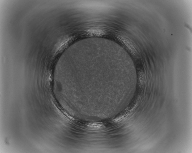 X0000098020451200804111302