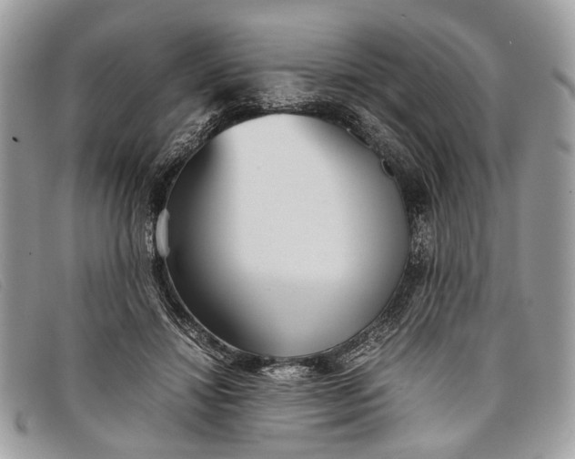 X0000098020452200804111302