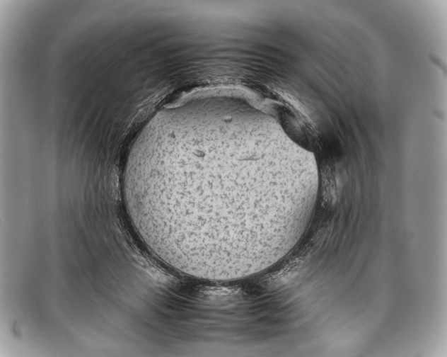 X0000098020453200804111302