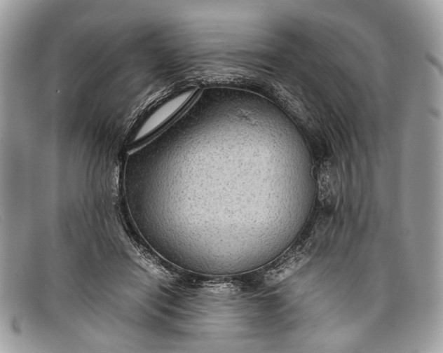 X0000098020454200804111302