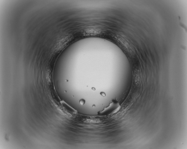 X0000098020455200804111302