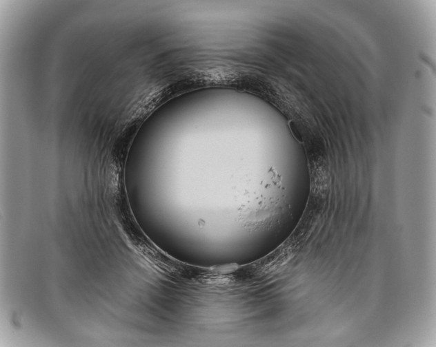 X0000098020456200804111302