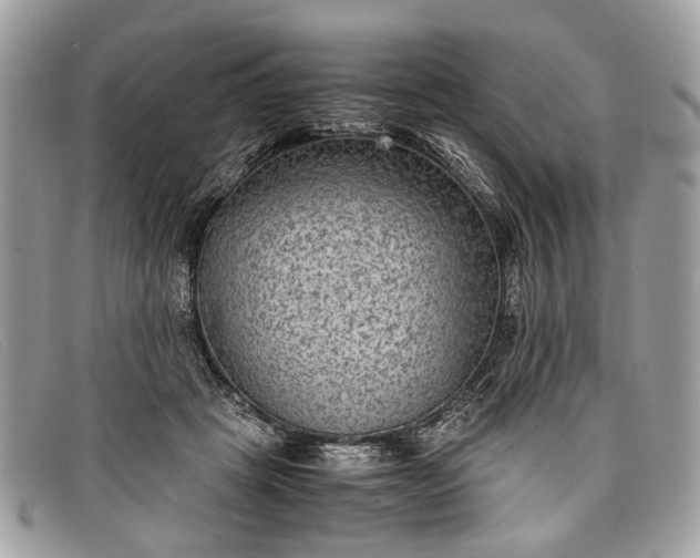 X0000098020457200804111302