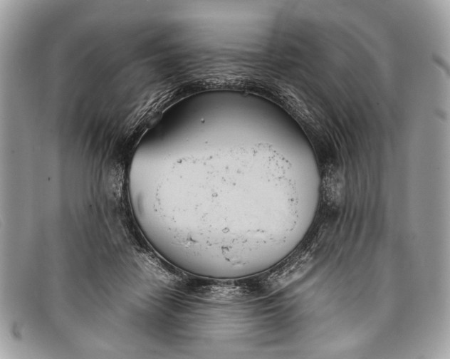 X0000098020458200804111302