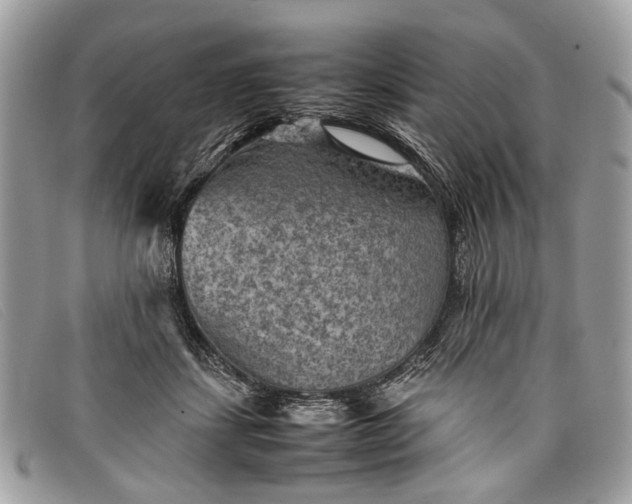 X0000098020459200804111302