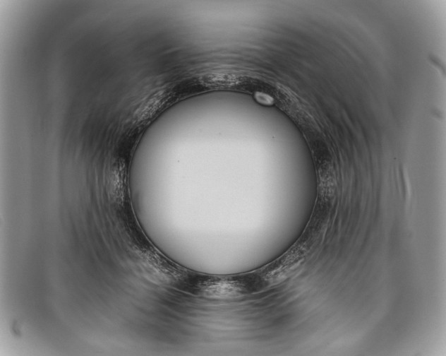 X0000098020460200804111302