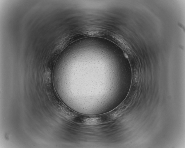 X0000098020461200804111302