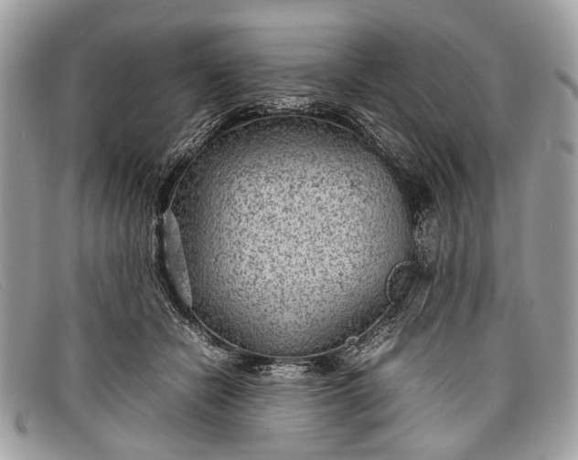 X0000098020462200804111302