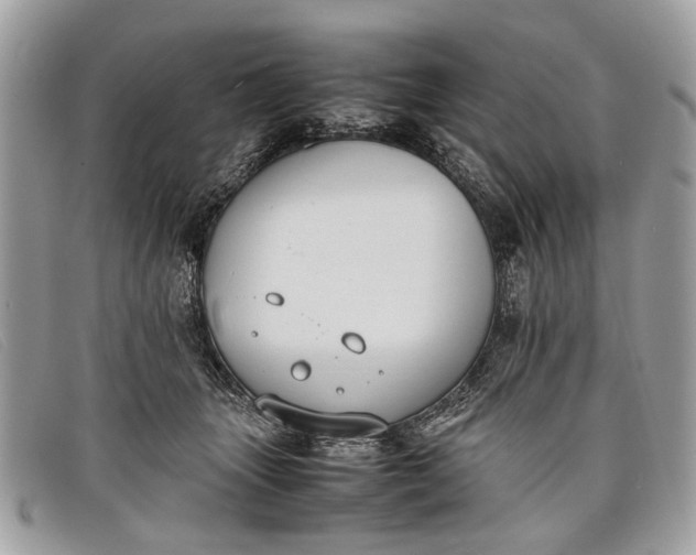 X0000098020463200804111302