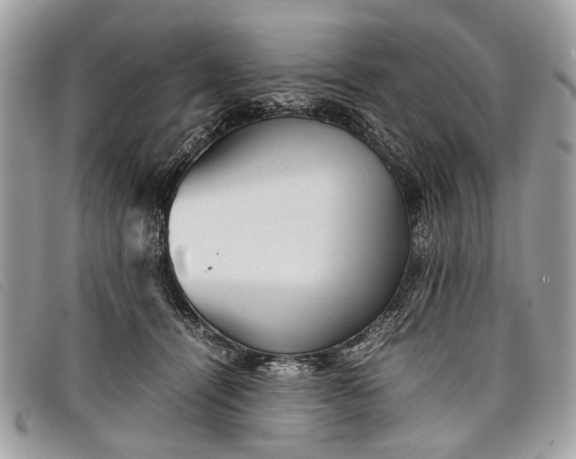 X0000098020464200804111302