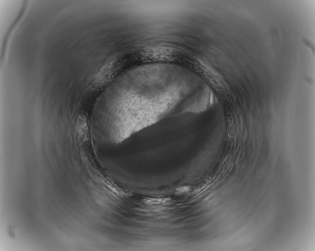 X0000098020465200804111302