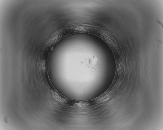 X0000098020466200804111302