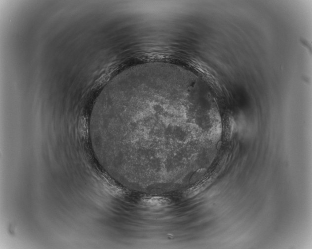 X0000098020467200804111302