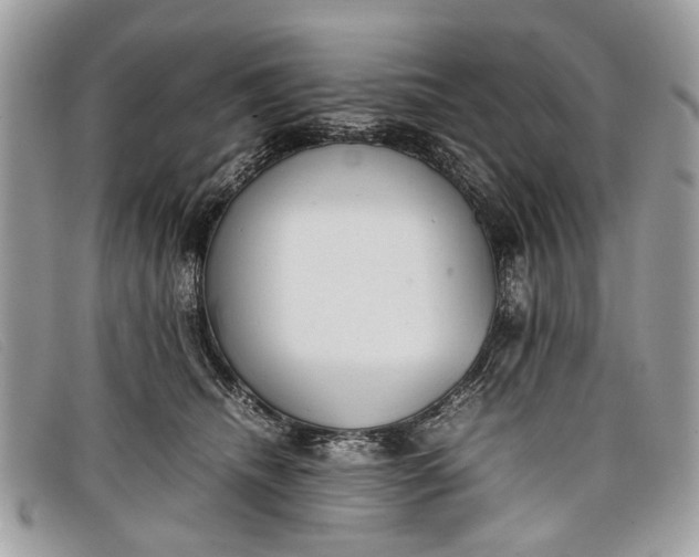 X0000098020468200804111302