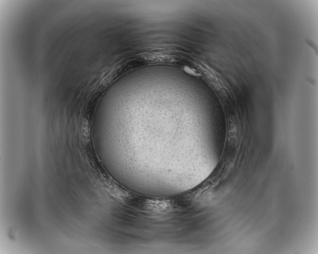 X0000098020469200804111302