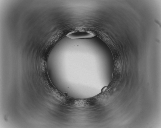 X0000098020470200804111302