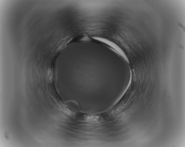 X0000098020471200804111302