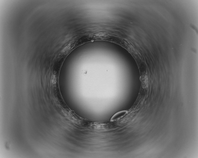 X0000098020472200804111302