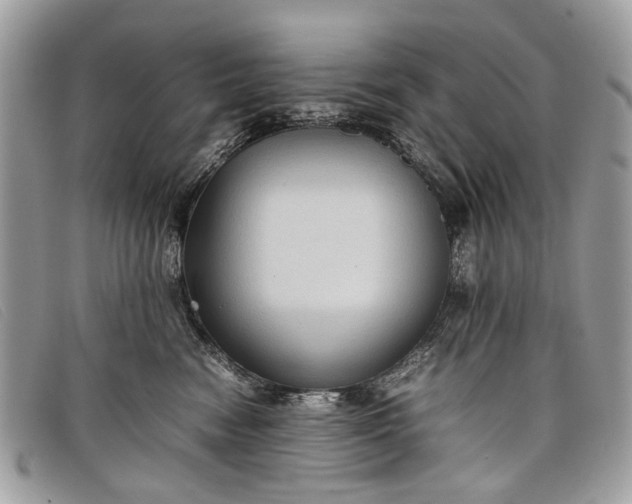 X0000098020474200804111302