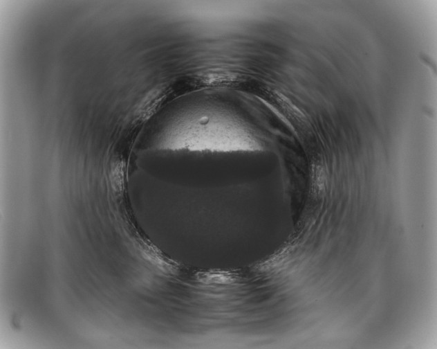 X0000098020475200804111302