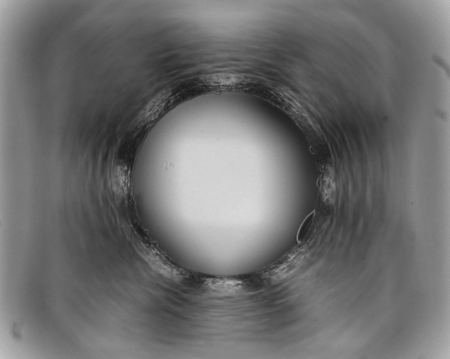 X0000098020476200804111302