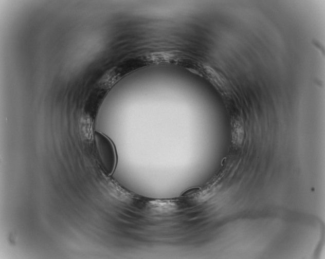 X0000098020477200804111302