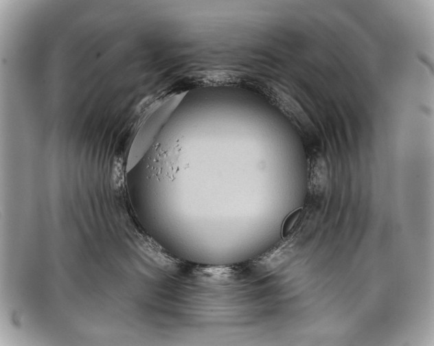 X0000098020478200804111302