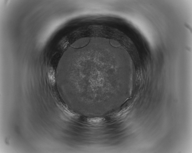 X0000098020479200804111302