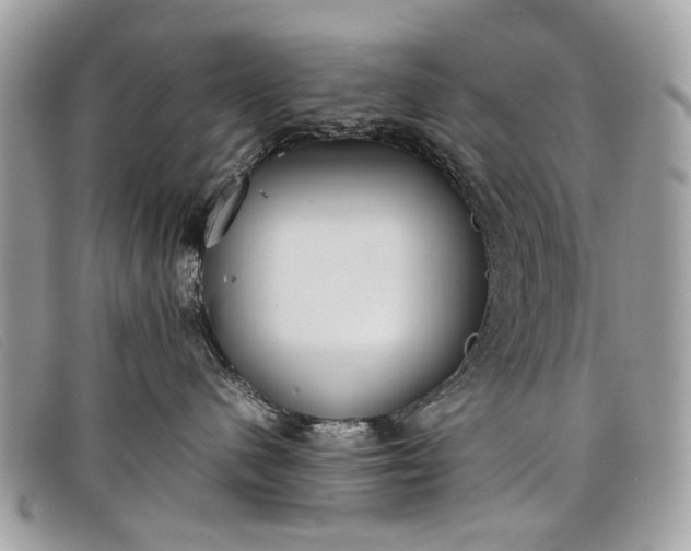 X0000098020480200804111302