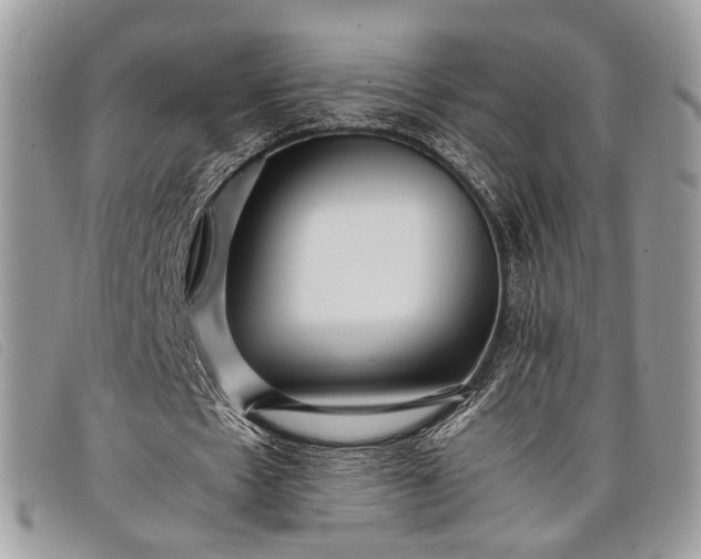 X0000098020481200804111302