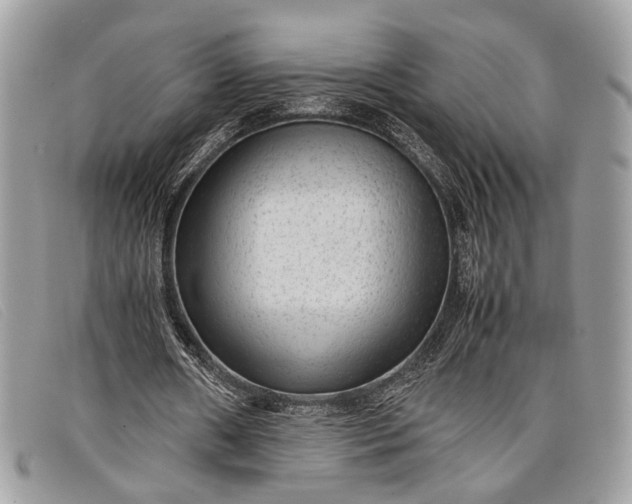 X0000098020482200804111302