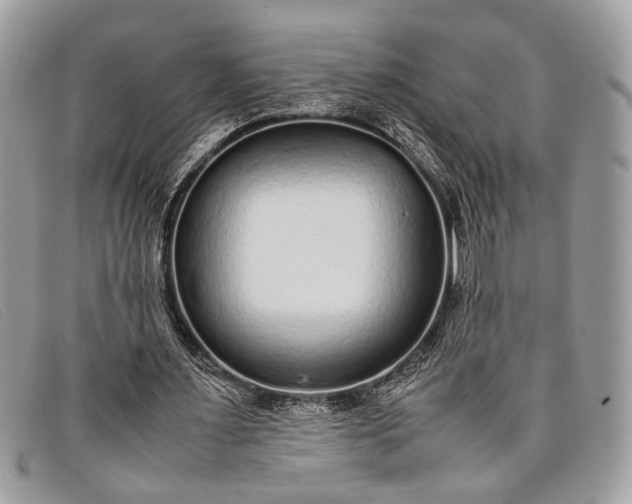 X0000098020483200804111302