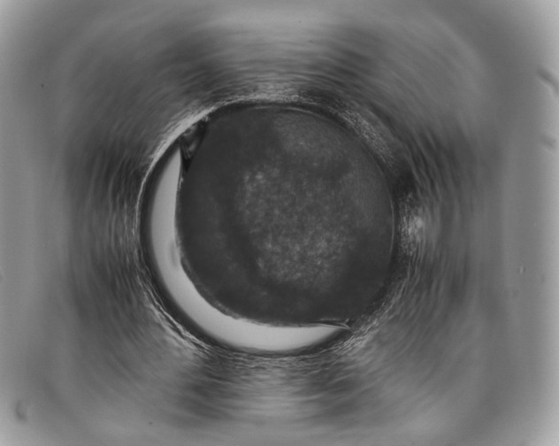 X0000098020484200804111302