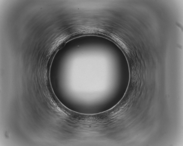 X0000098020485200804111302