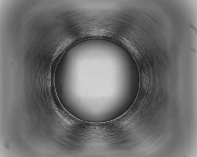 X0000098020486200804111302